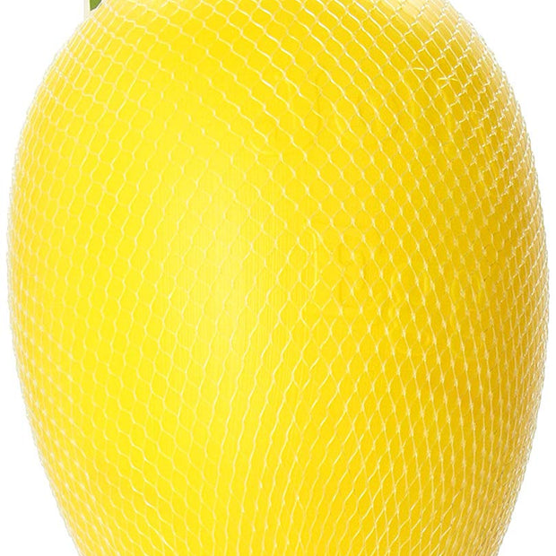 Jolly Pets Egg Plastic Ball for Pets