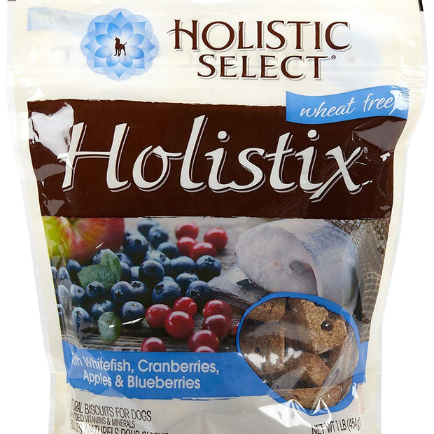 WELLPET 41693690055 Holistix Fish Dog Treats, 1-Pound