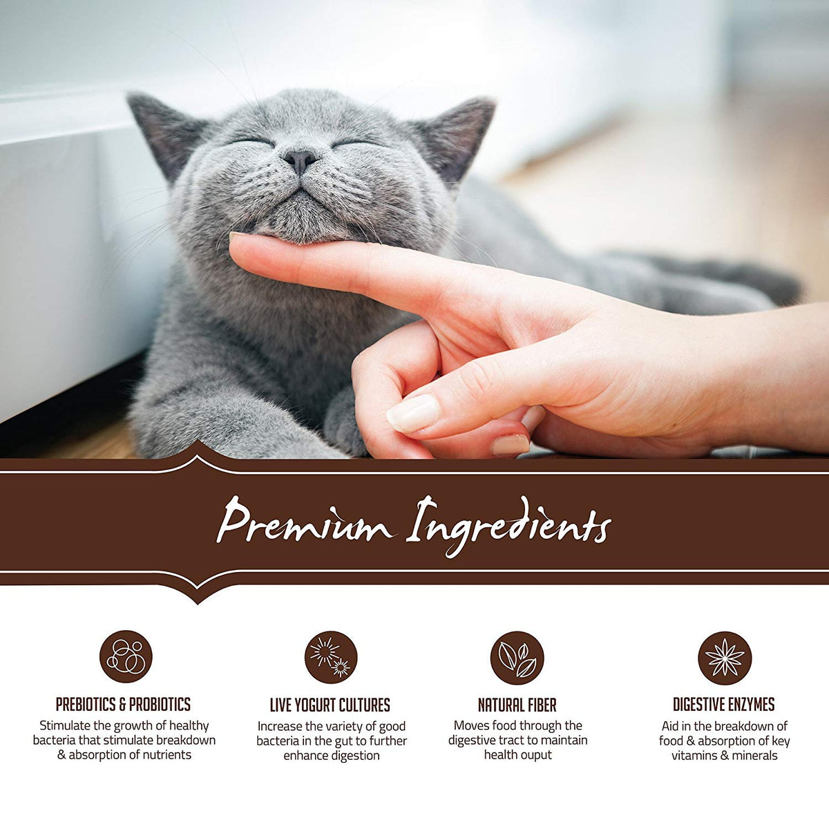 Holistic Select Natural Grain Free Dry Cat Food, Indoor