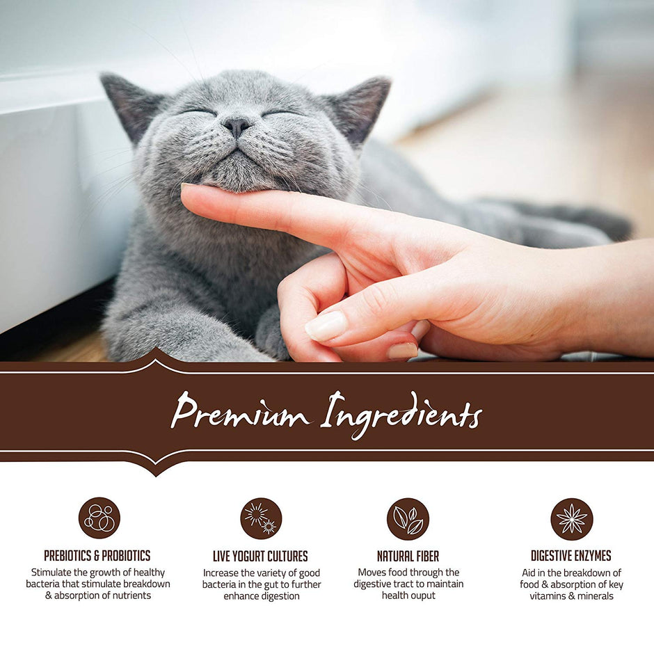 Holistic Select Natural Grain Free Dry Cat Food, Indoor