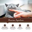 Holistic Select Natural Grain Free Dry Cat Food, Indoor