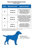 The Company of Animals - Halti Headclar - réglable et rembourré - pas d'outil d'entraînement à traction pour les chiens sur les promenades - Comprend le guide de formation gratuit - Taille 1 - Rouge