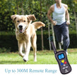 PATPET Remote Dog Training Collar - Rainproof - 330yd Remote Dog Shock Collar with Beep, 16 Levels of Vibration and Shock Electronic Collar - All Size Dogs (10Lbs - 100Lbs) ...
