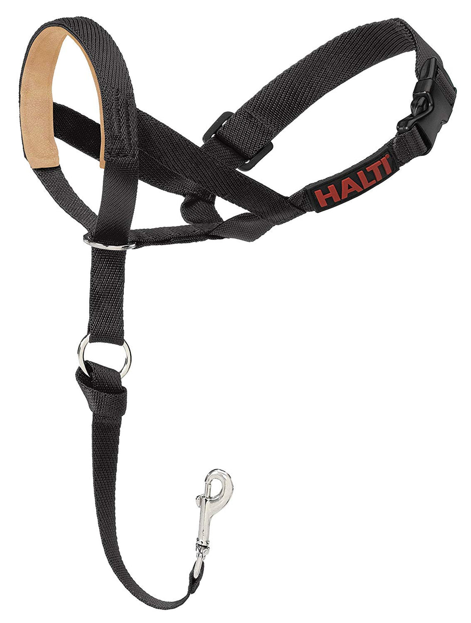 Halti Headclar Black rembourré