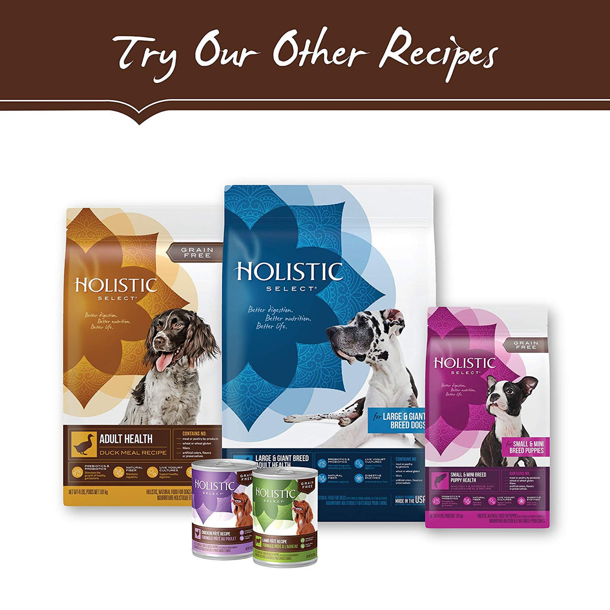 Holistic Select Natural Dry Dog Food Grain Free Adult & Puppy Salmon. Anchovy & Sardine