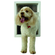 Porte d'animaux multiples pour animaux de compagnie parfaits