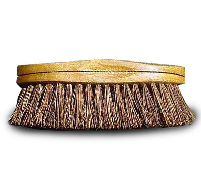 Brush - Palmyra Curved Mud Brush
