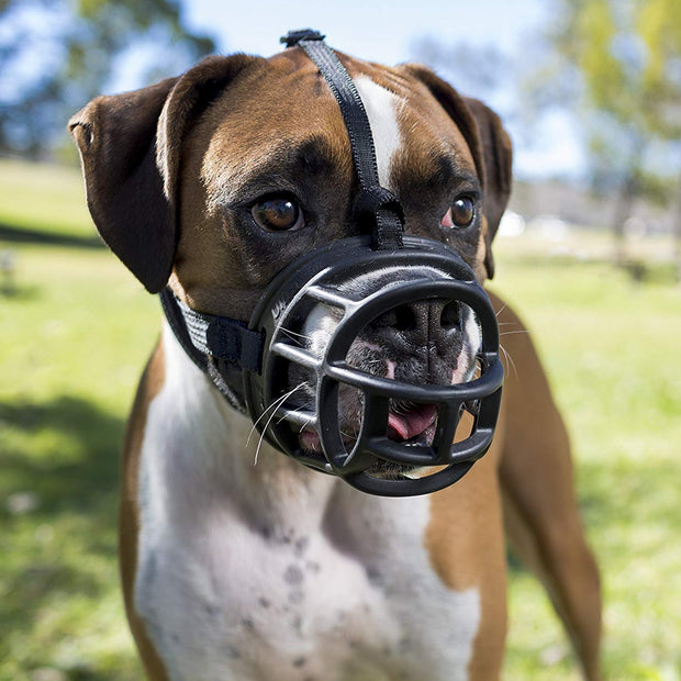 The Company of Animals Baskerville 5-Inch Rubber Ultra Muzzle