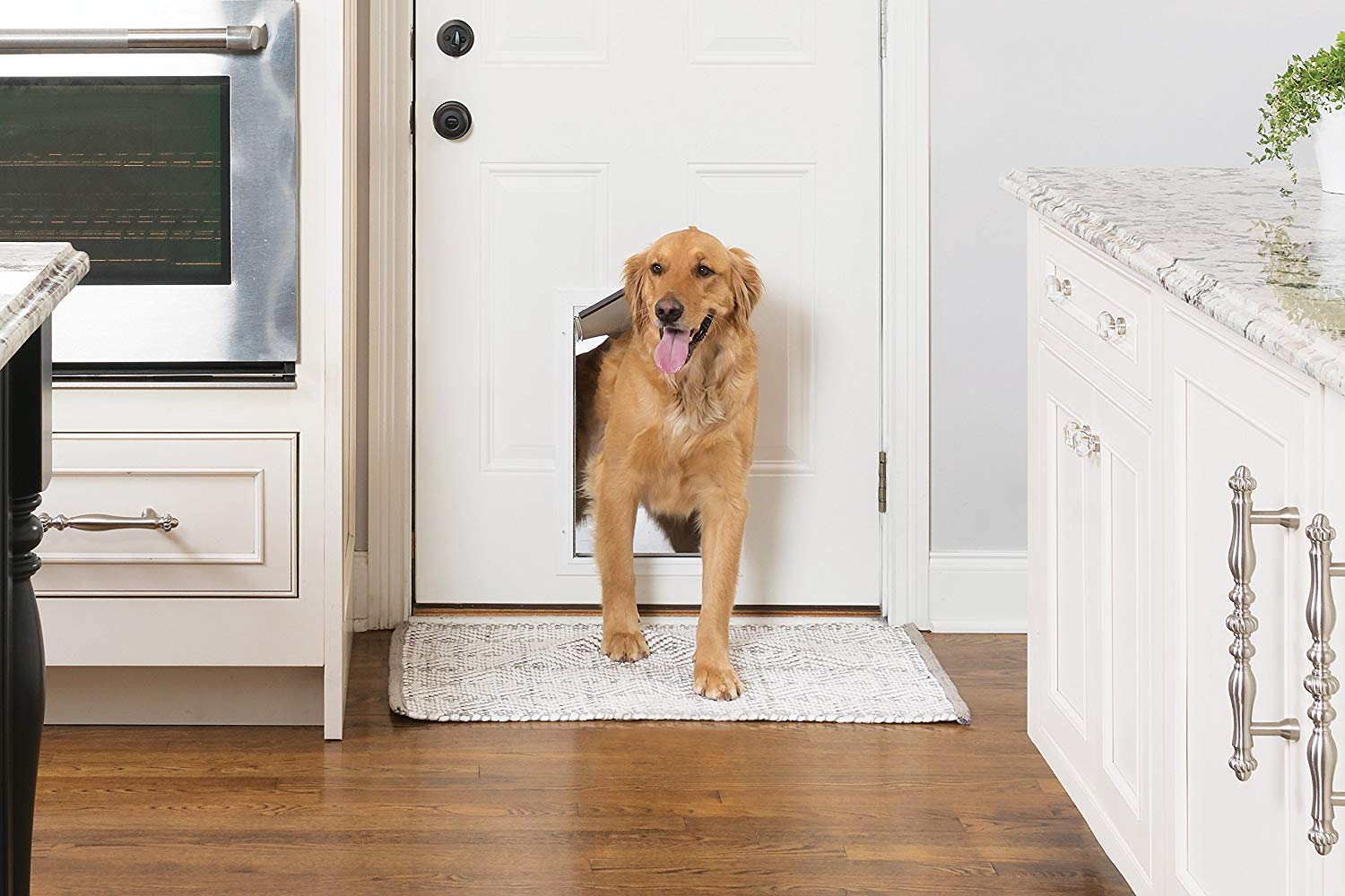 PetSafe Freedom Aluminum Pet Door for Dogs and Cats, White, Tinted Vinyl Flap