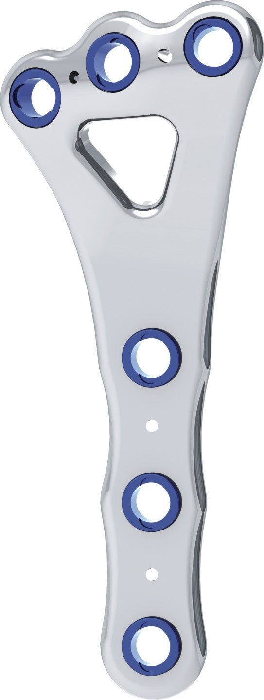 Support - CBLO - 74mm - Right
