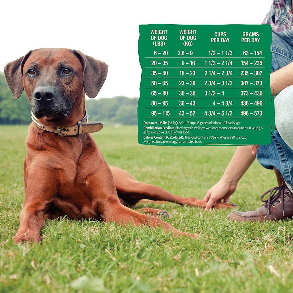 Wellness Core Natural Grain Free Dry Dog Food Wild Game Duck, Turkey, Boar & Rabbit