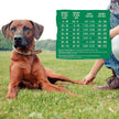 Wellness Core Natural Grain Free Dry Dog Food Wild Game Duck, Turkey, Boar & Rabbit