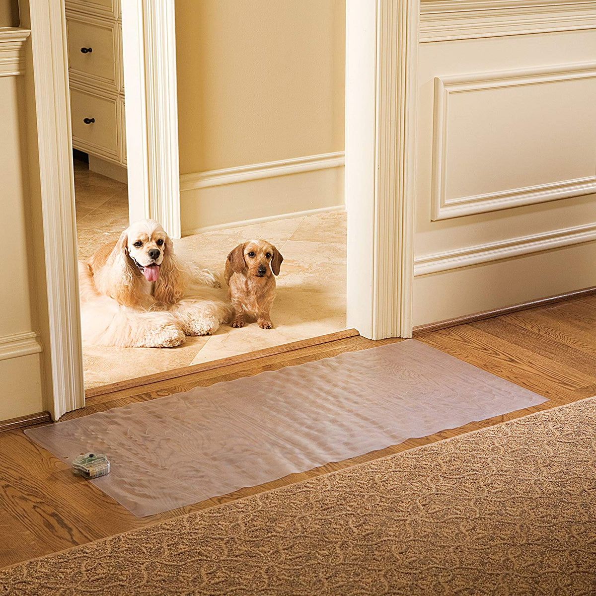 Pawz Away Mat for Dogs & Cats