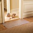 Pawz Away Mat for Dogs & Cats