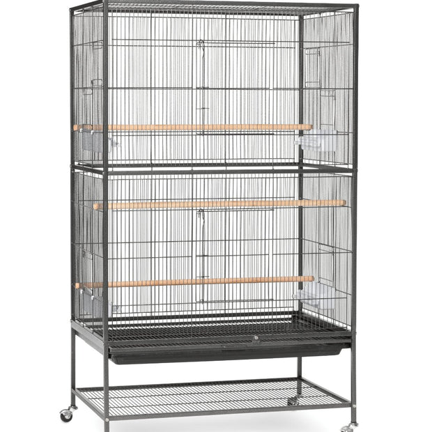 Prévue Hendryx pour animaux de compagnie Cage de vol en fer forgé