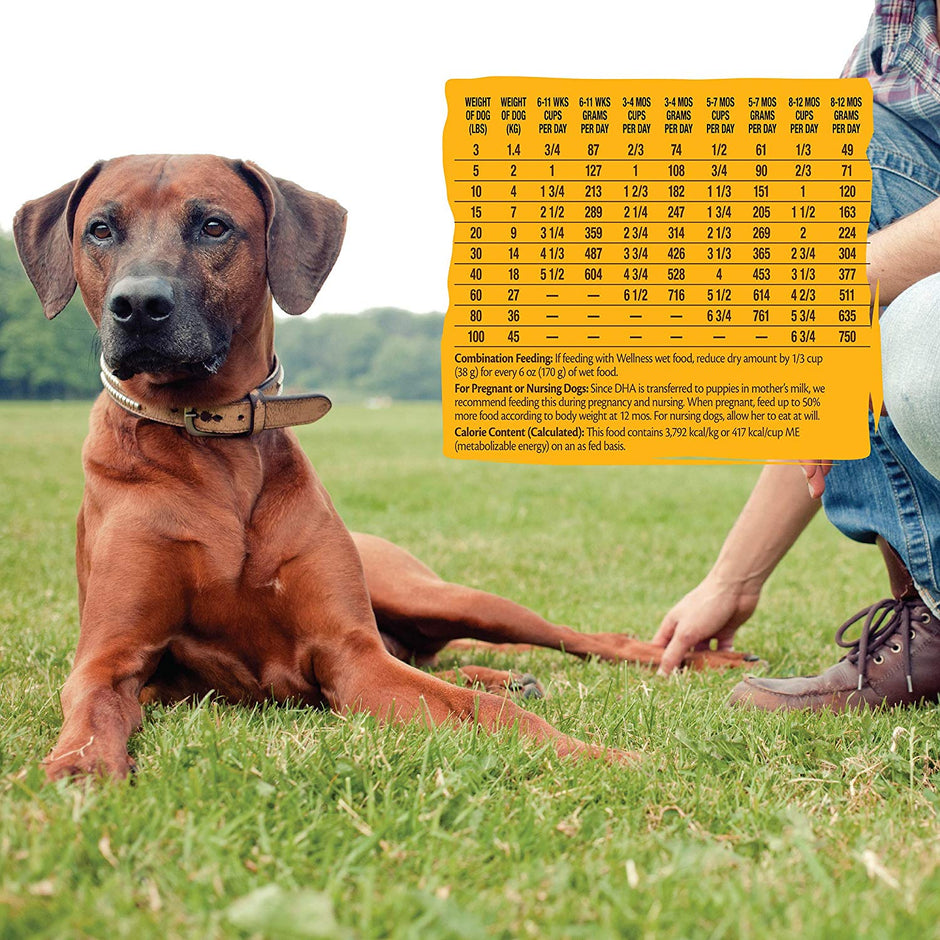 Wellness Core Dog Puppy Formula 26 Lb