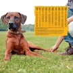 Wellness Core Dog Puppy Formula 26 Lb