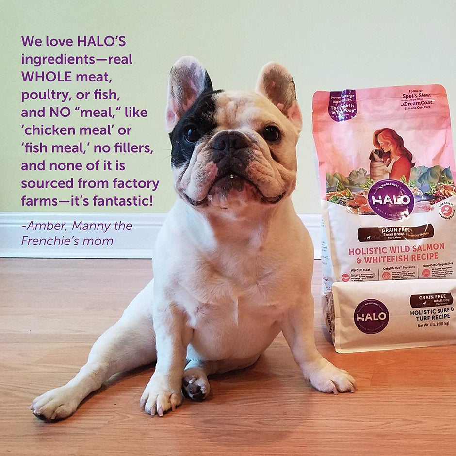 Halo Holistic Natural Dry Dog Food for Adult Dogs