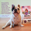 Halo Holistic Natural Dry Dog Food for Adult Dogs