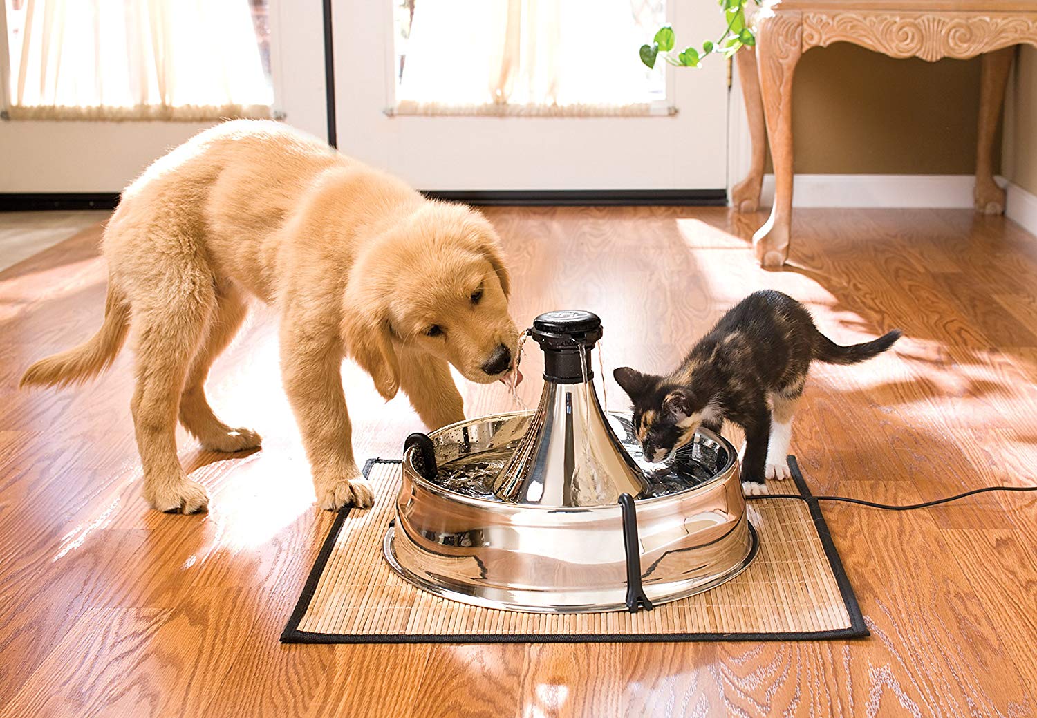 PetSafe Drinkwell 360 Multi-Pet Stainless Steel Dog and Cat Fountain, Filtered Water, 128 oz. Water Capacity