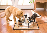 PetSafe Drinkwell 360 Multi-Pet Stainless Steel Dog and Cat Fountain, Filtered Water, 128 oz. Water Capacity