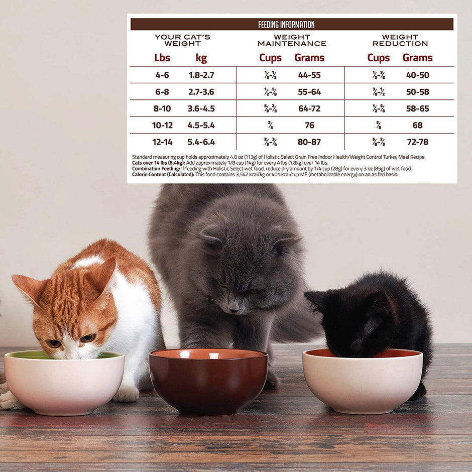 Holistic Select Natural Grain Free Dry Cat Food, Indoor