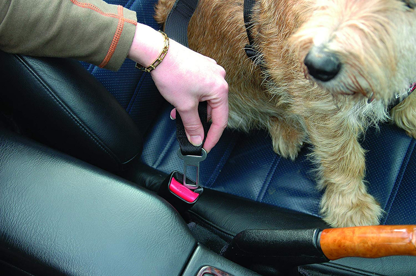 The Company of Animals Clix Car Safe Dog Harness Size