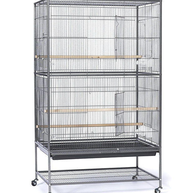 Prévue Hendryx pour animaux de compagnie Cage de vol en fer forgé