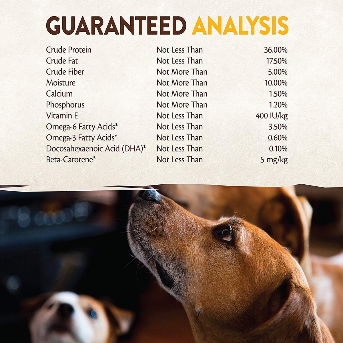 Wellness Core Dog Puppy Formula 26 Lb