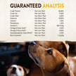 Wellness Core Dog Puppy Formula 26 Lb