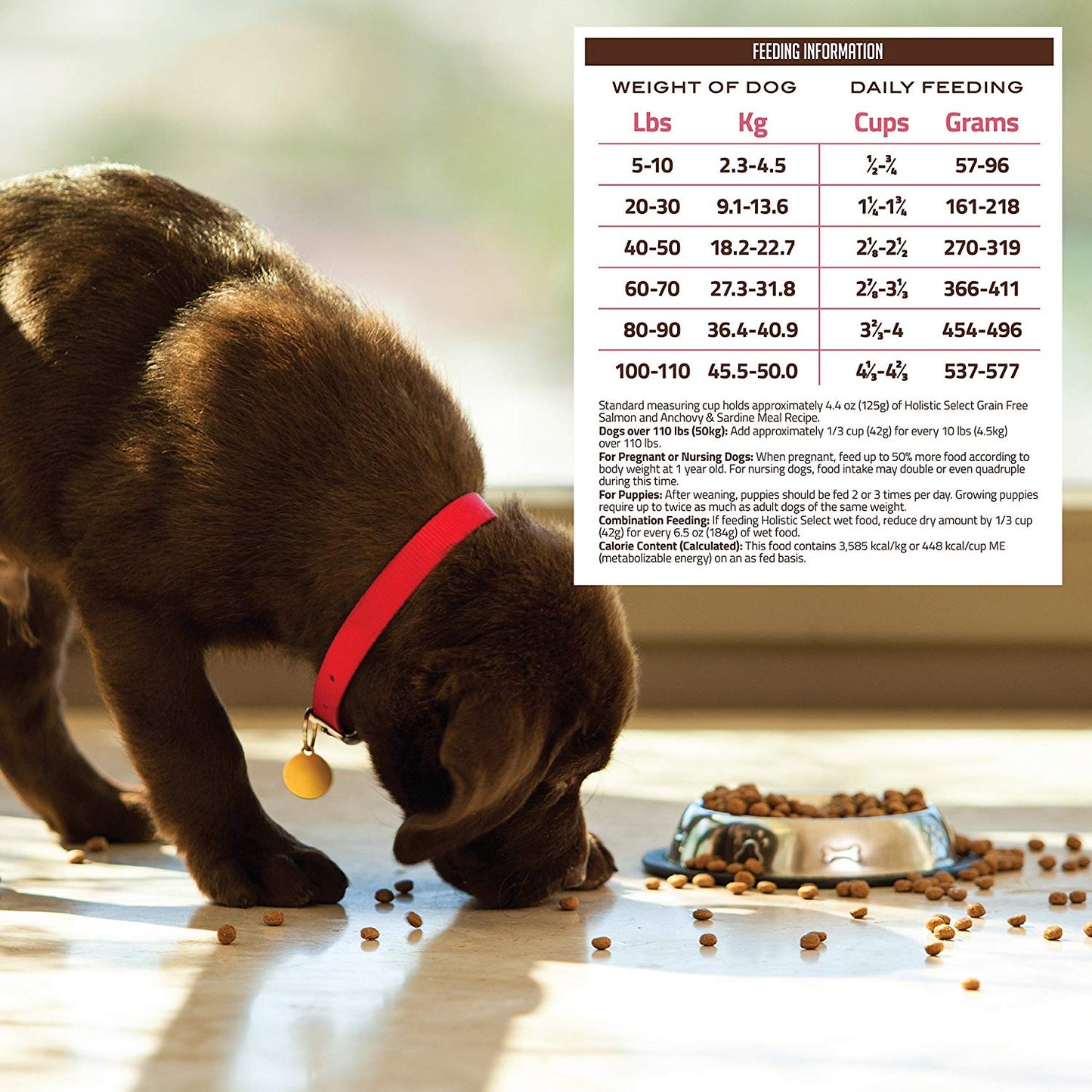 Holistic Select Natural Dry Dog Food Grain Free Adult & Puppy Salmon. Anchovy & Sardine