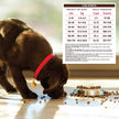 Holistic Select Natural Dry Dog Food Grain Free Adult & Puppy Salmon. Anchovy & Sardine