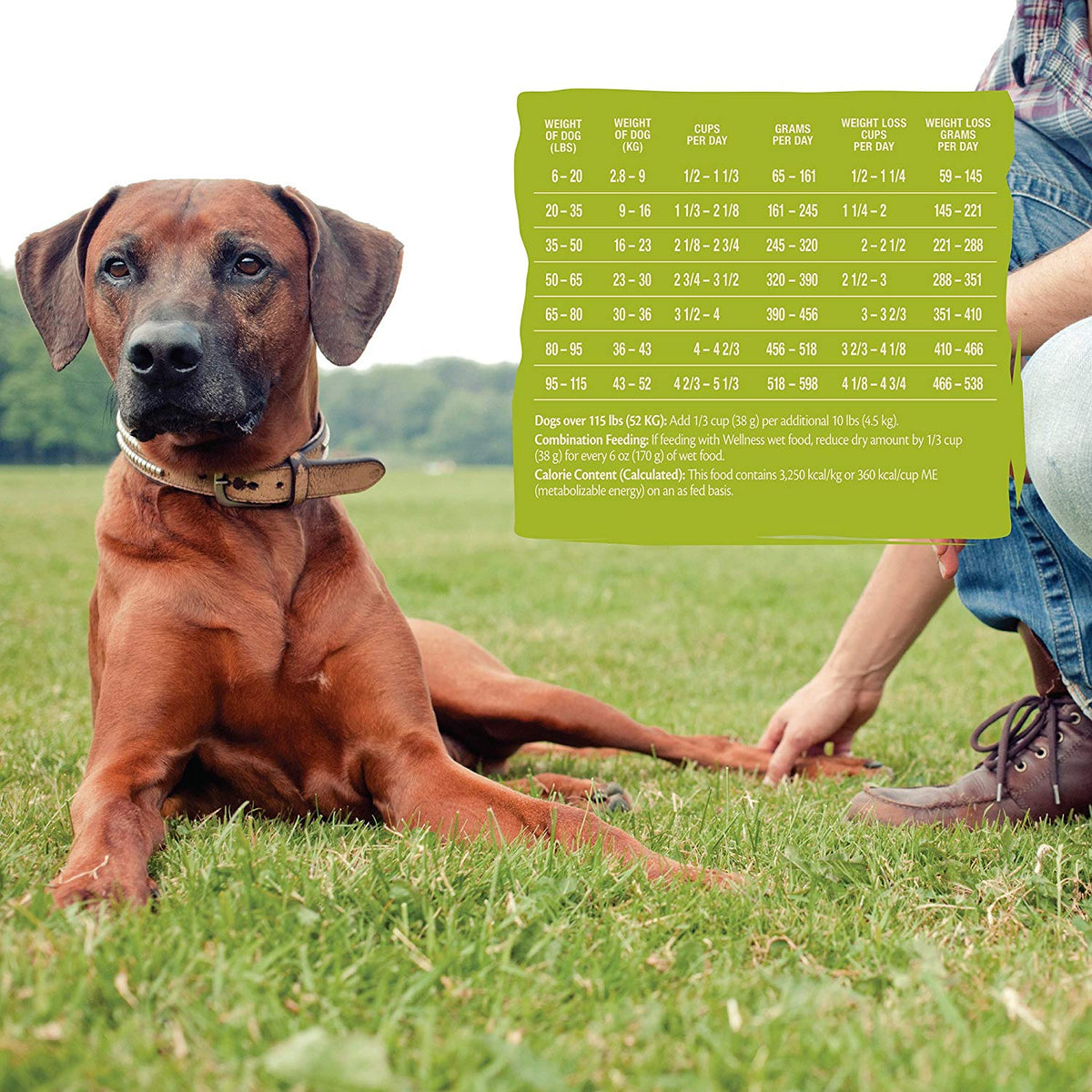 Wellness Core Natural Grain Free Dry Dog Food Reduced Fat
