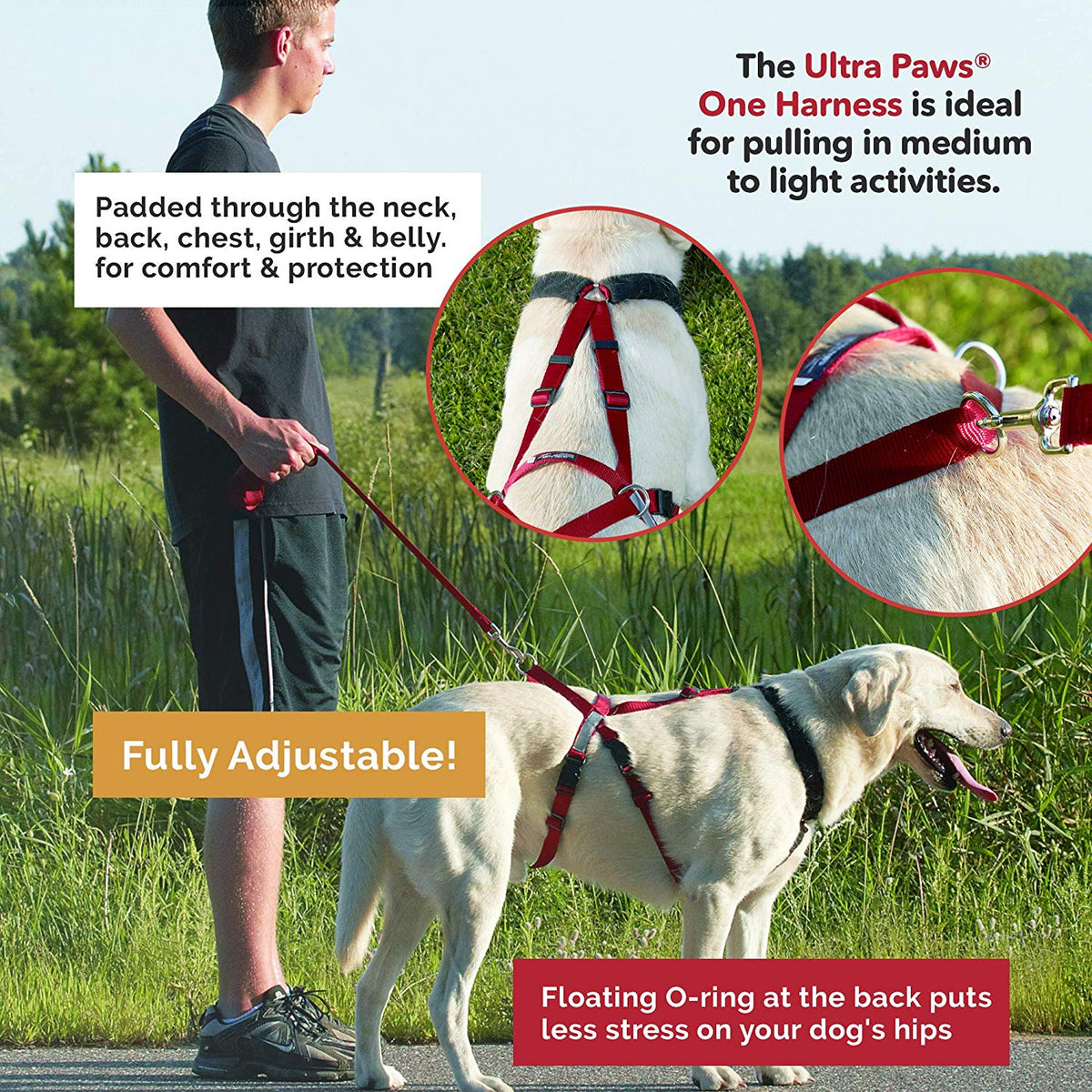 Ultra Paws Basic Skijor Package