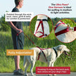 Ultra Paws Basic Skijor Package