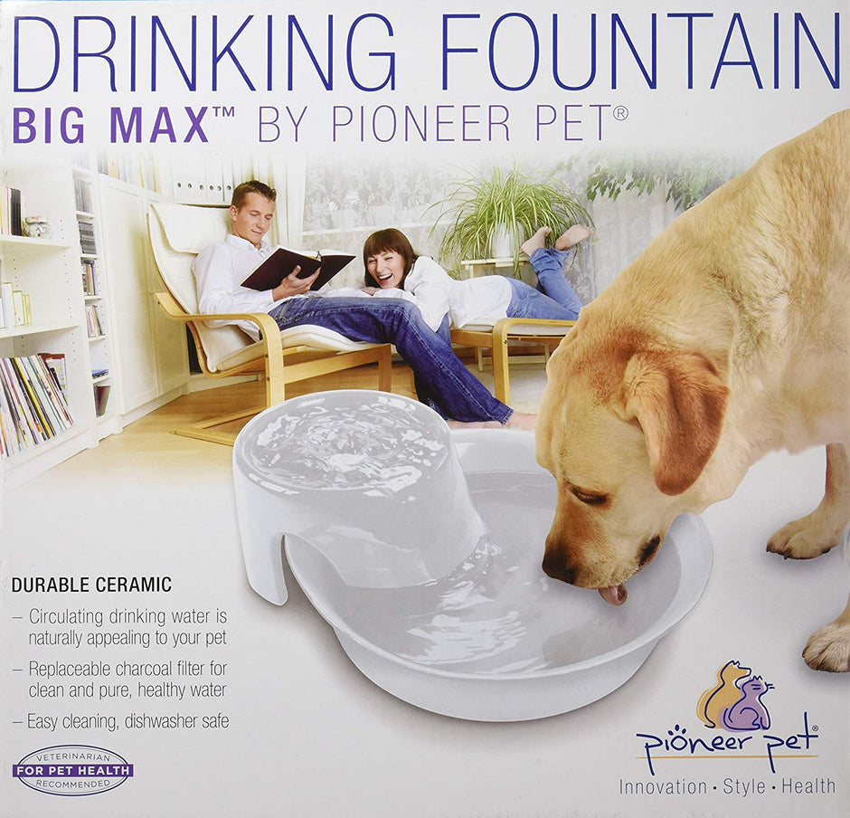 Pioneer animal de compagnie Big Max en céramique Boire
