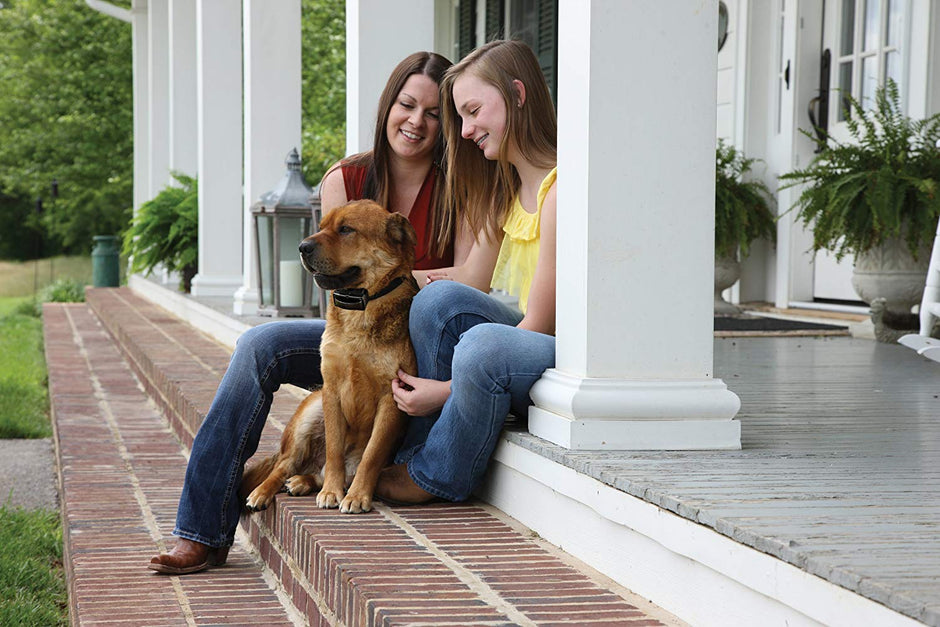 PetSafe Rechargeable Bark Control Collar, Waterproof, Reduce Barking