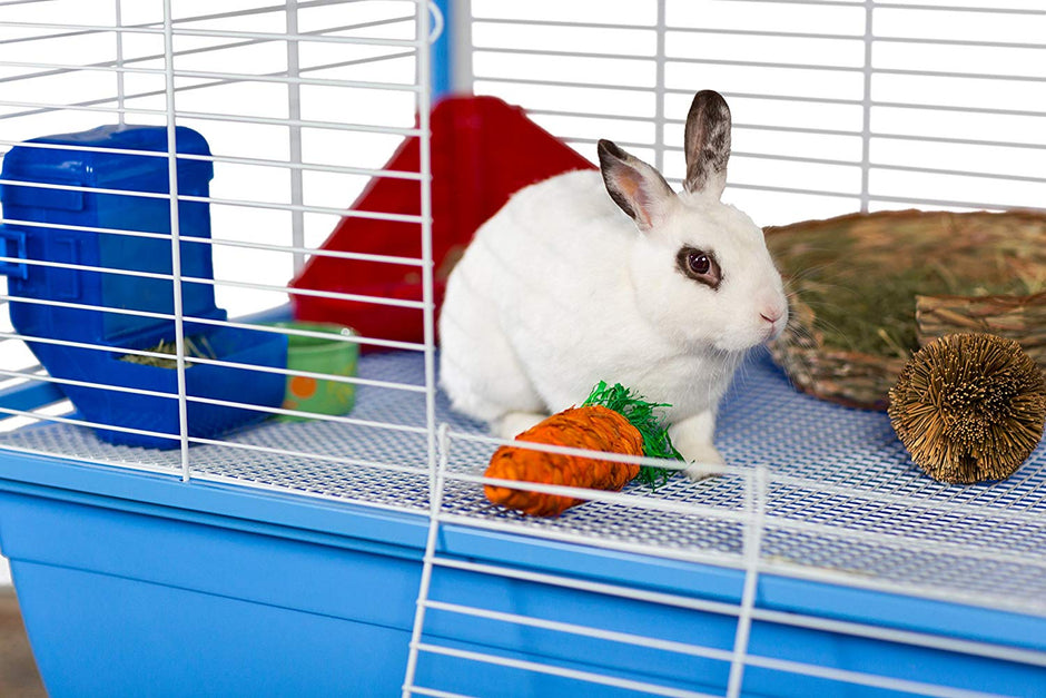 Pite Pet Jumbo Small Pet Cage sur le stand