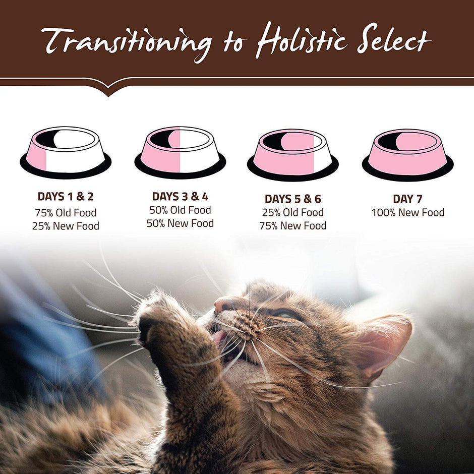 Holistic Select Natural Grain Free Dry Cat Food, Indoor