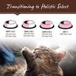 Holistic Select Natural Grain Free Dry Cat Food, Indoor
