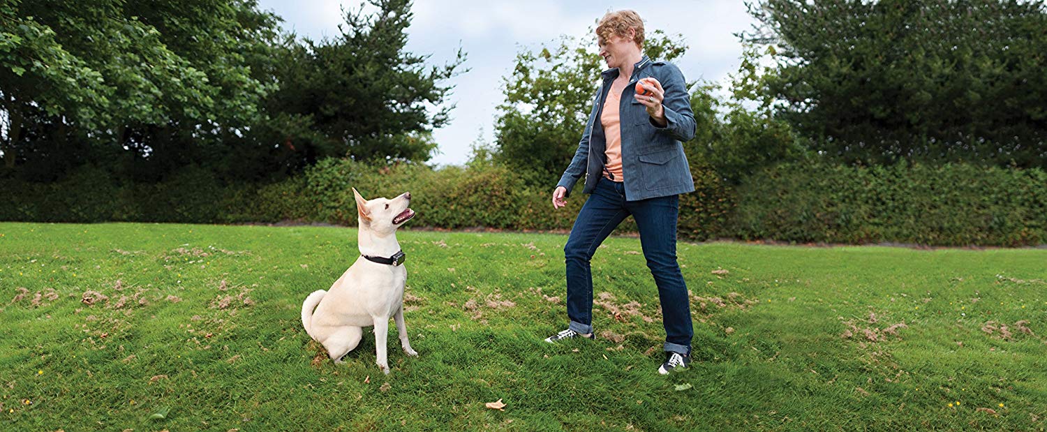 PetSafe Elite Big Dog Spray Bark Collar