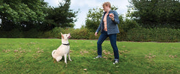 PetSafe Elite Big Dog Spray Bark Collar