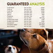 Wellness Core Natural Grain Free Dry Dog Food Reduced Fat