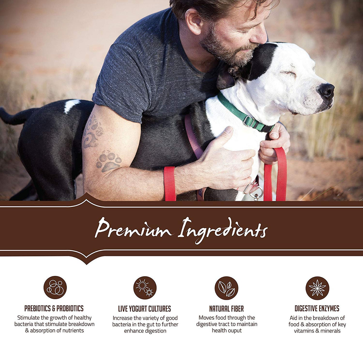Holistic Select Natural Dry Dog Food Grain Free Adult & Puppy Salmon. Anchovy & Sardine