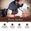 Holistic Select Natural Dry Dog Food Grain Free Adult & Puppy Salmon. Anchovy & Sardine