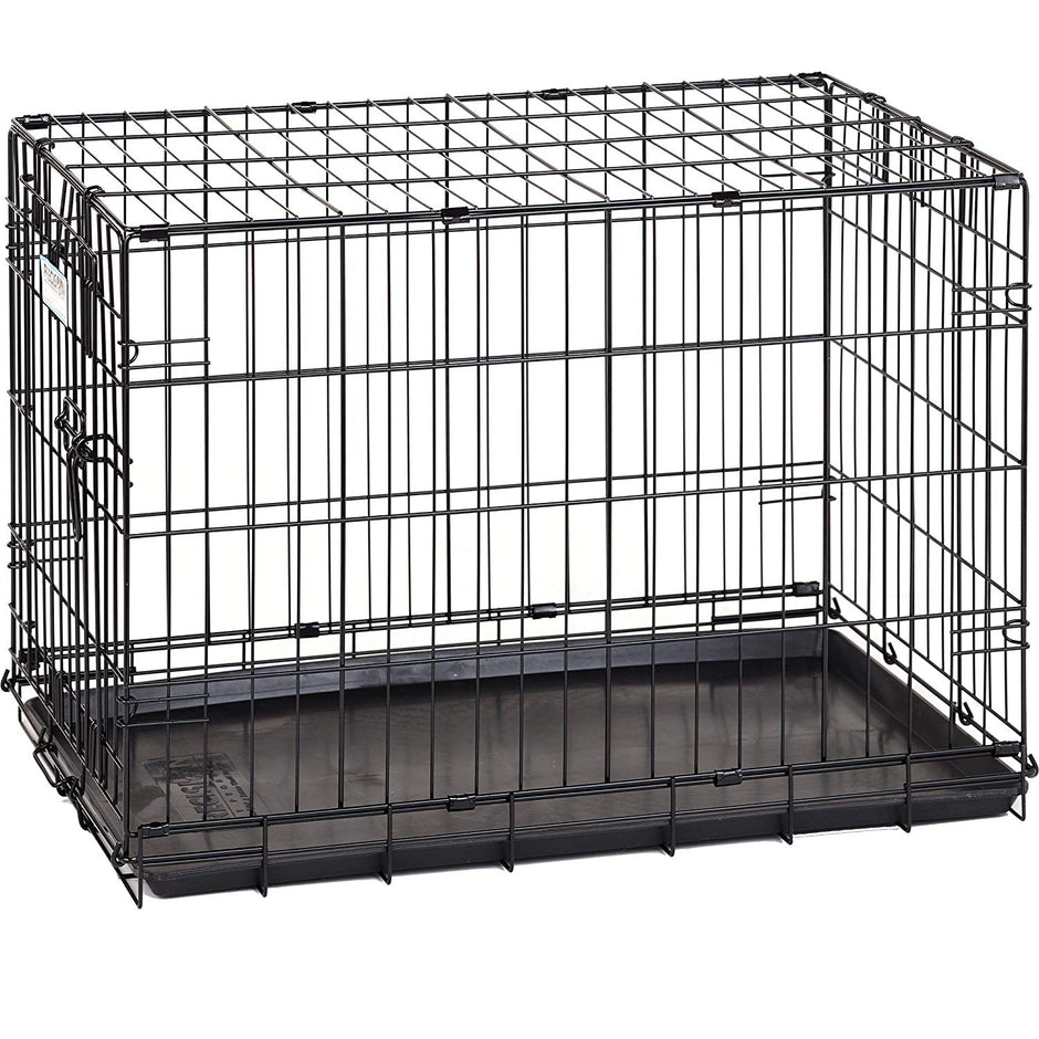 ProValu Single-Door Dog Crate in Black