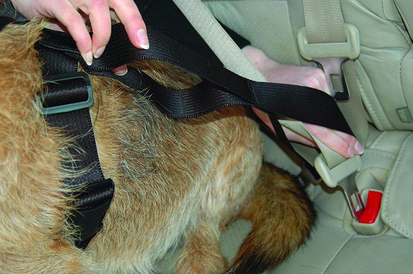 The Company of Animals Clix Car Safe Dog Harness Size