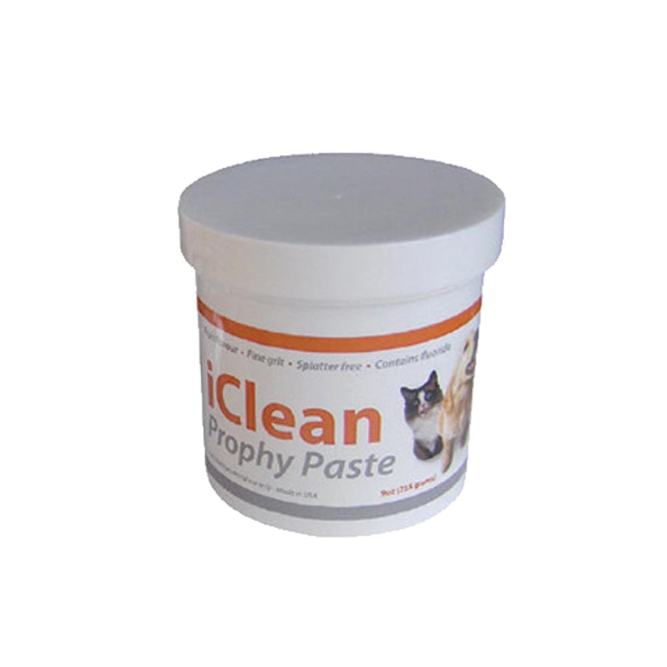 iClean Prophy Paste