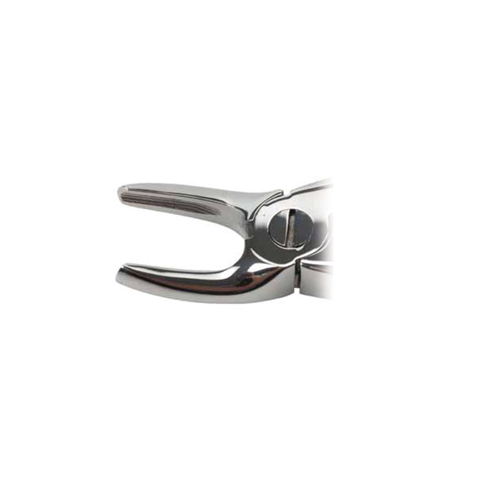 Forceps - Extraction - Feline