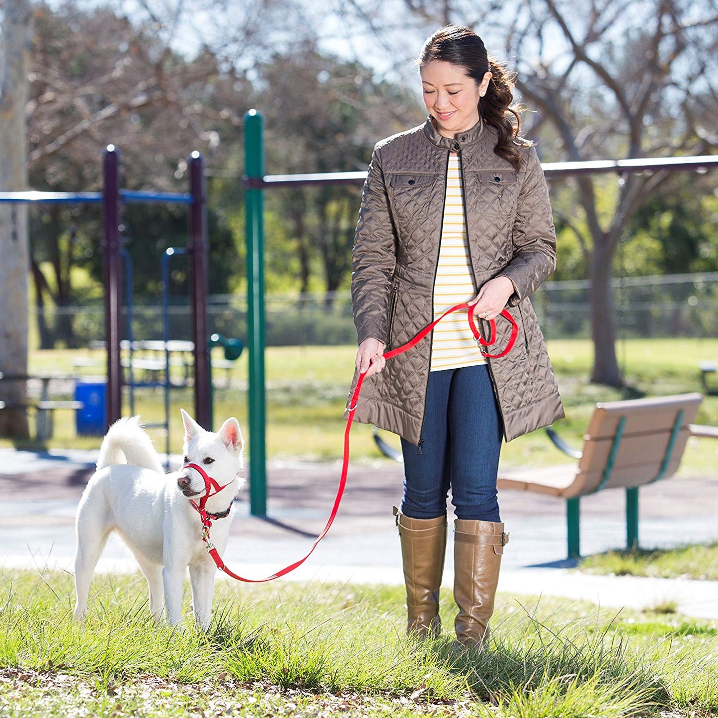 Company of Animals Halti Headcollar, Size 2, Red